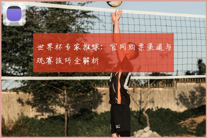 世界杯专家推球：官网购票渠道与观赛技巧全解析