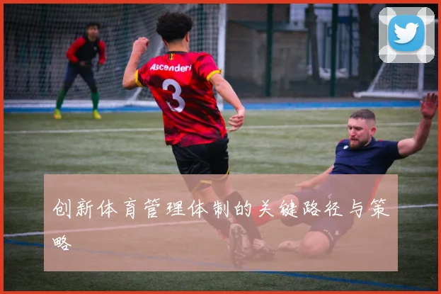 创新体育管理体制的关键路径与策略